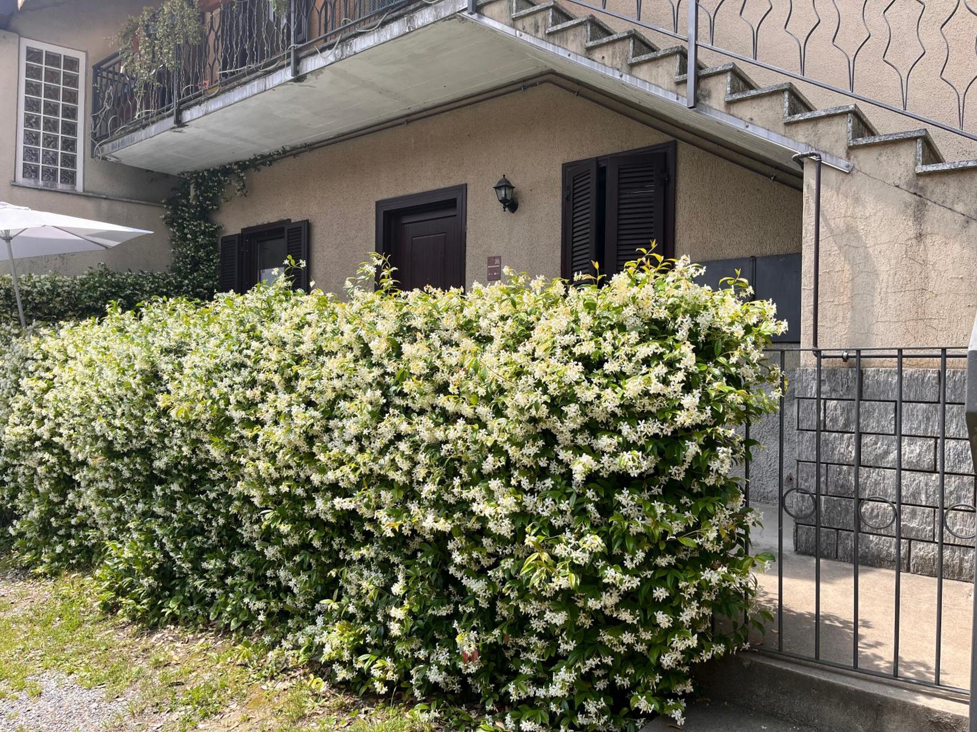 Il Cortile Como Single & Double Room In Apartment No Hotel المظهر الخارجي الصورة
