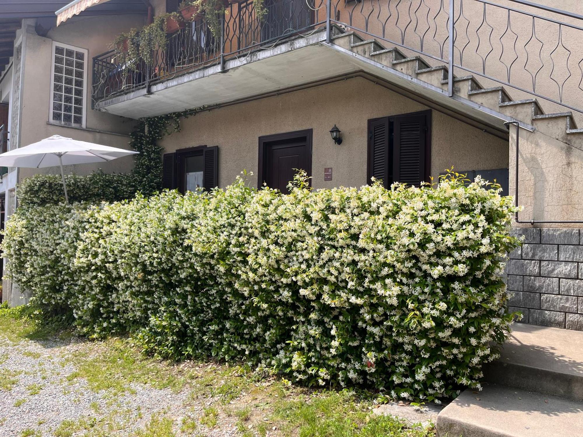 Il Cortile Como Single & Double Room In Apartment No Hotel المظهر الخارجي الصورة